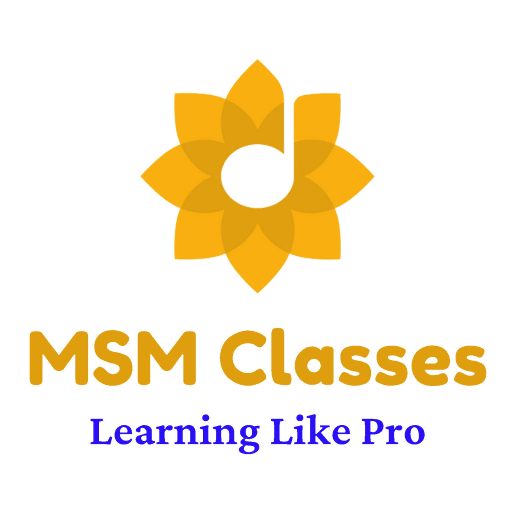 MSM Logo