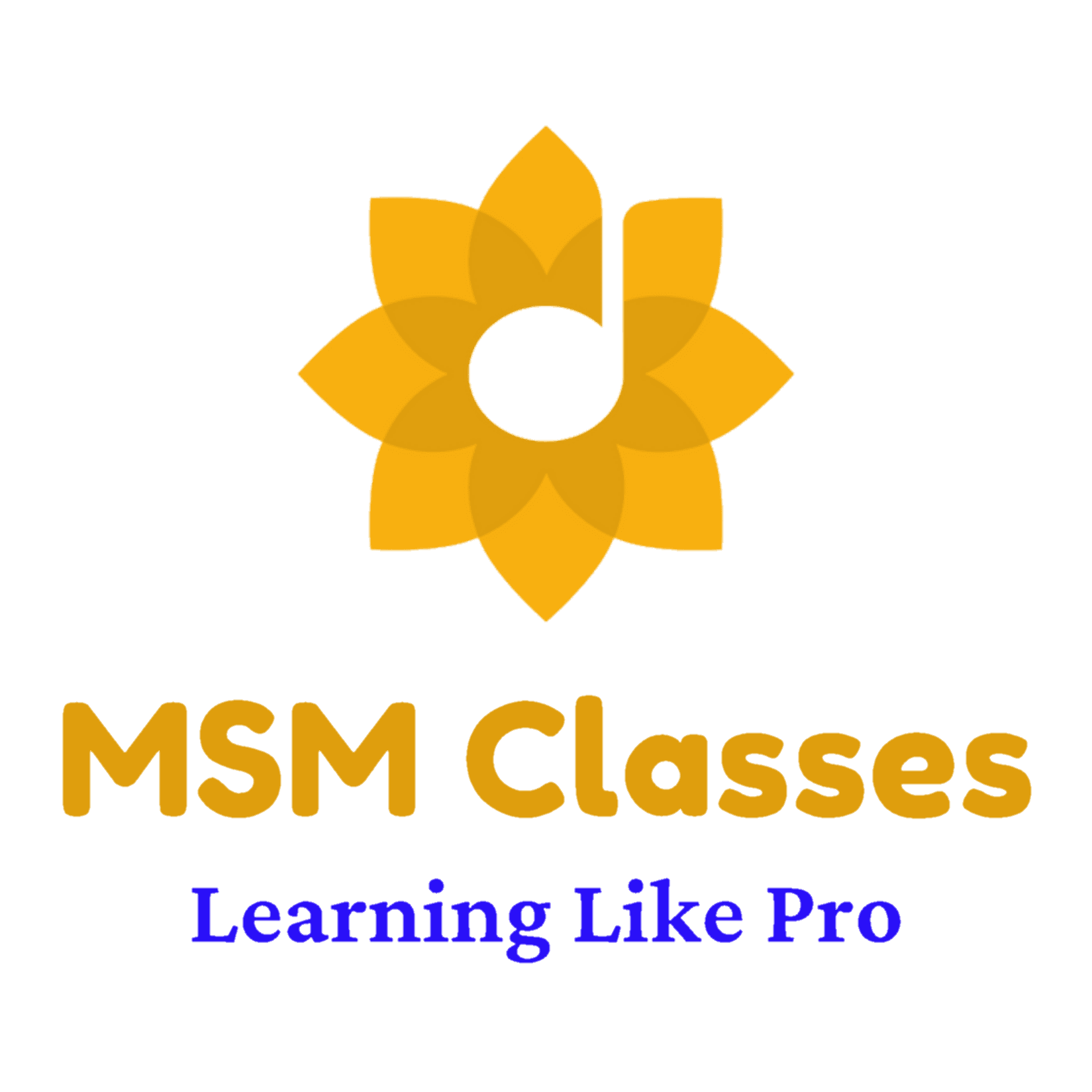MSM Classes